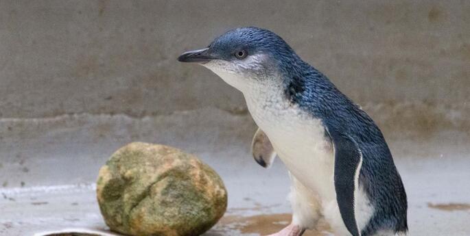 From the Pacific Highway to the Pacific Ocean: