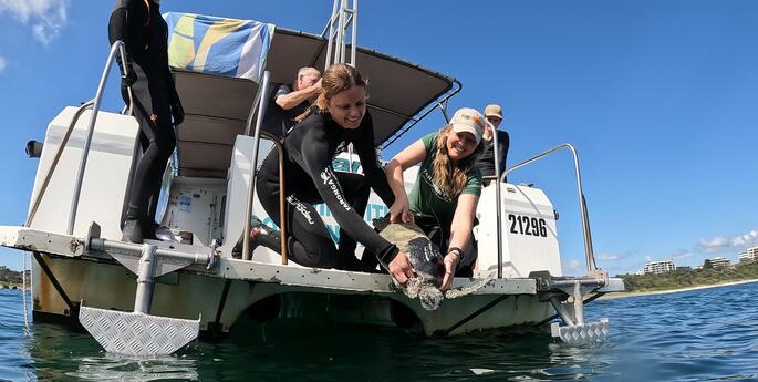 Tracking Turtles for Tomorrow