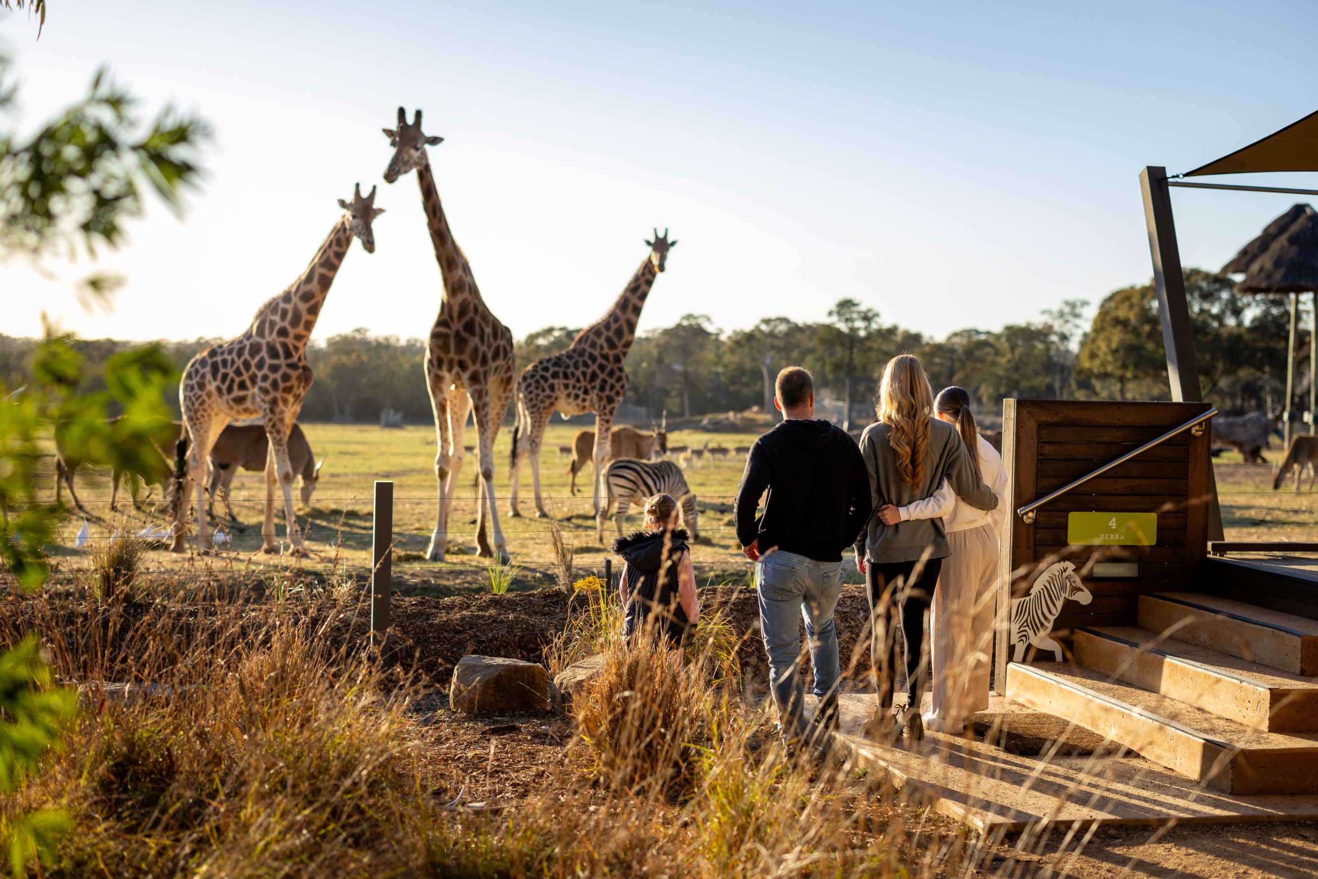 Meet the neighbours at the Animal View Lodge