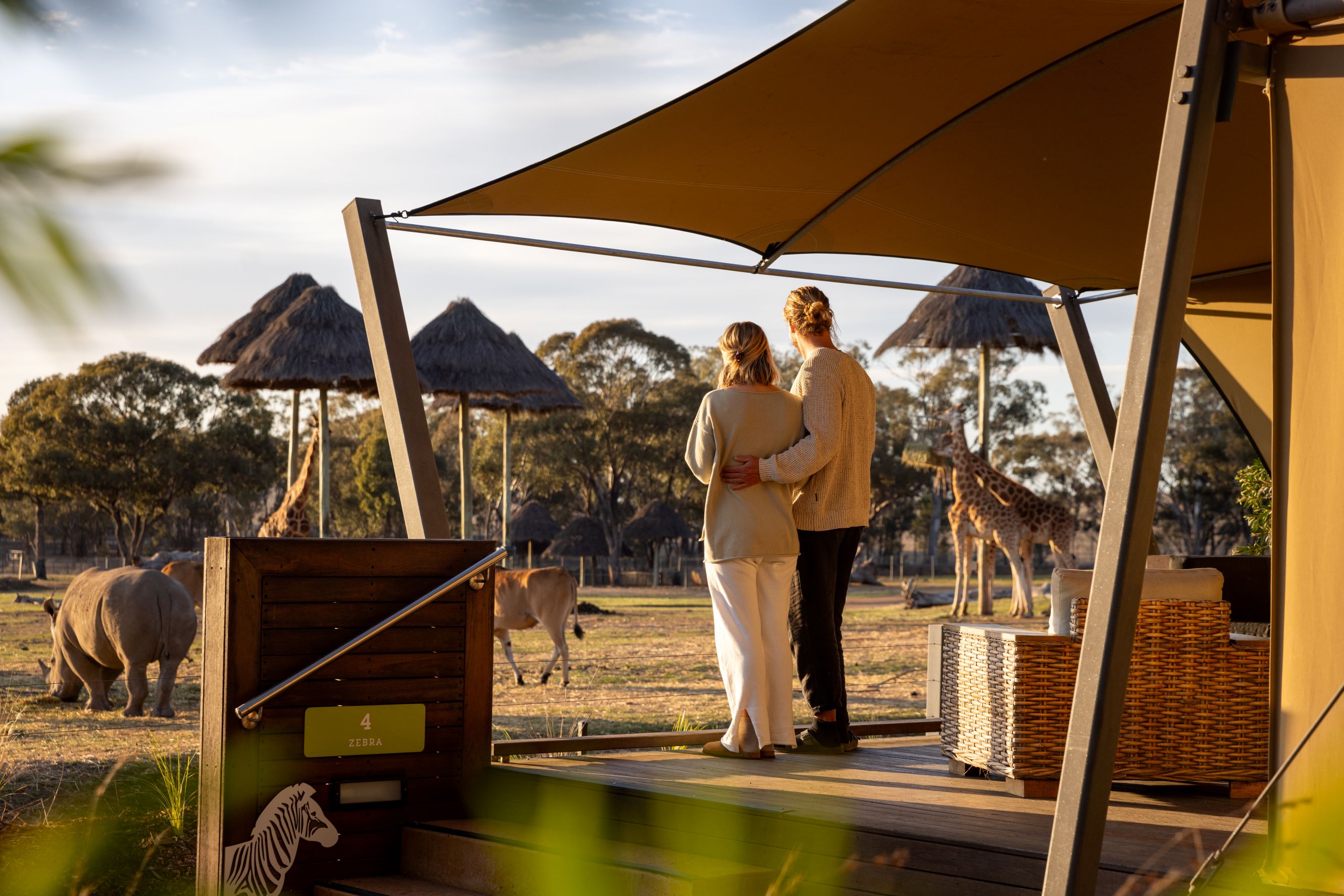 Unwind at the Animal View Lodge