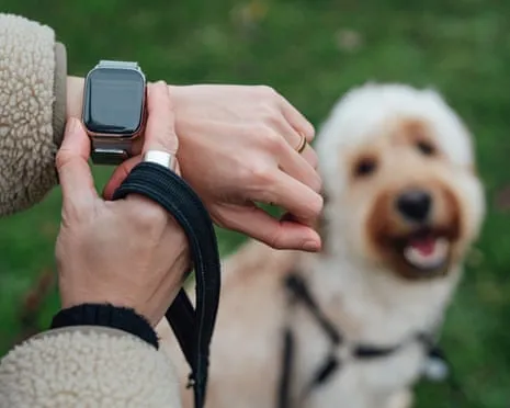 The Honest Scoop Concerning Wearable Tech? Daily Existence Is Better Lacking a Nagging Device on Your Wristwear